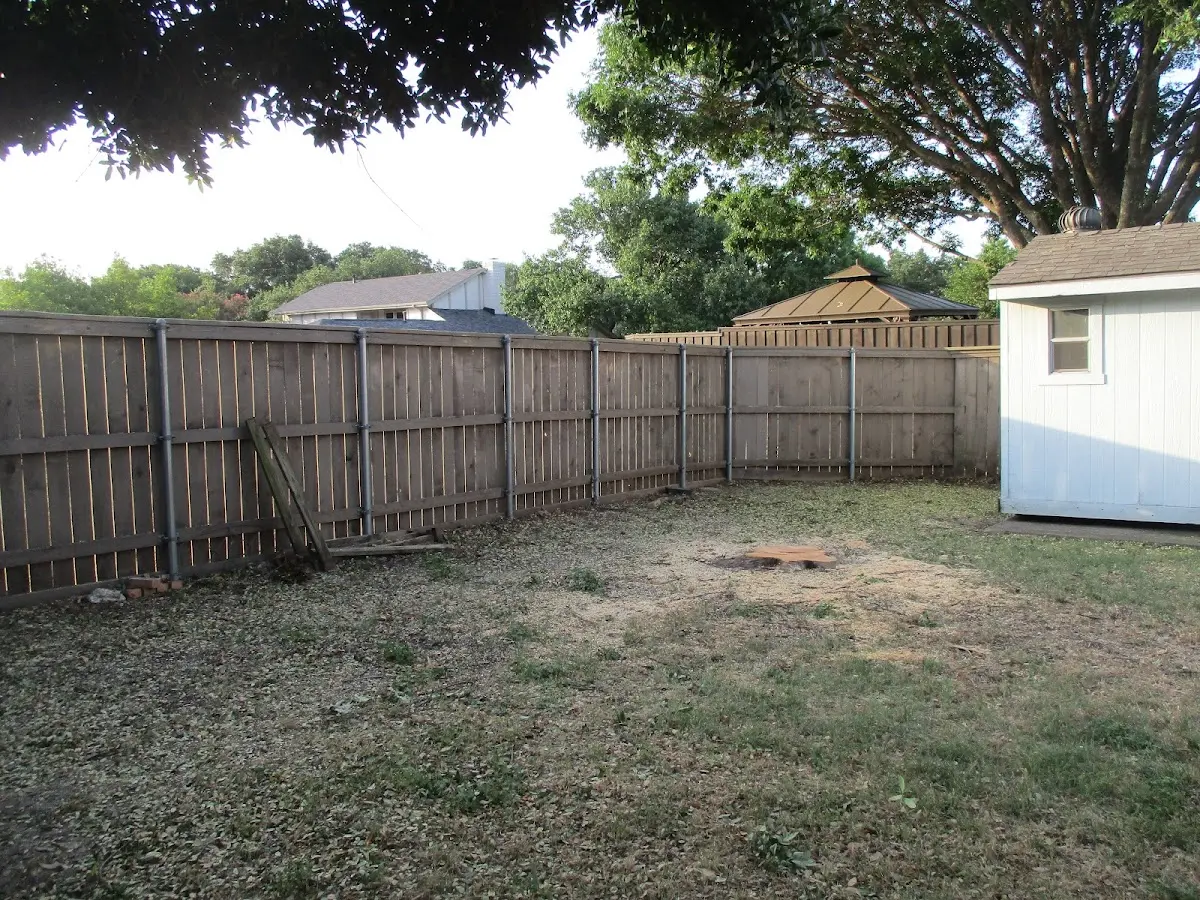 Cleared yard after professional tree removal in Levittown